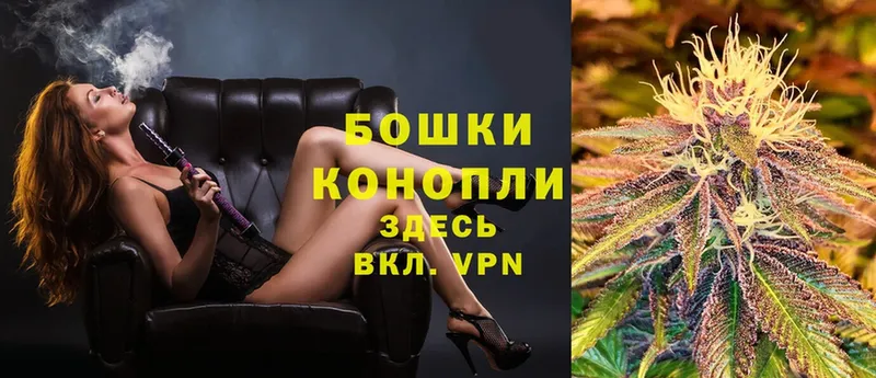 Каннабис White Widow  как найти наркотики  Елец 